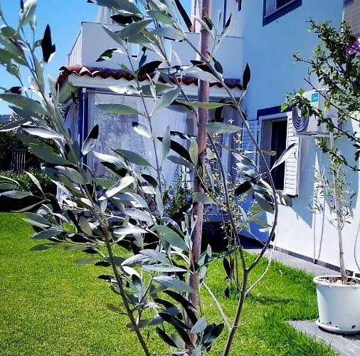 Apartament Zephyros Resort 2 *